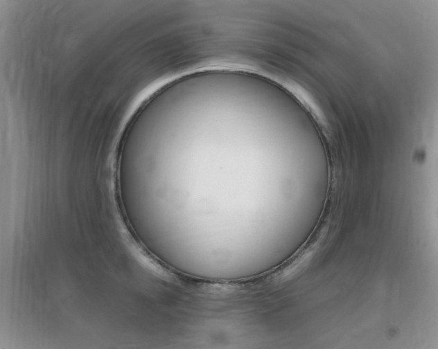 X0000096940854200802080857