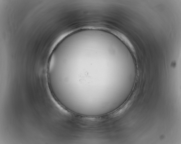 X0000096940855200802080857