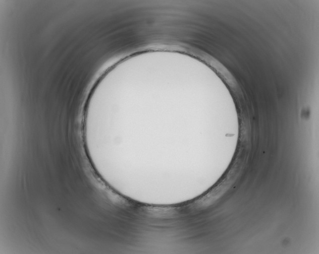 X0000096940856200802080857