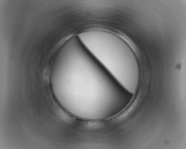 X0000096940857200802080857