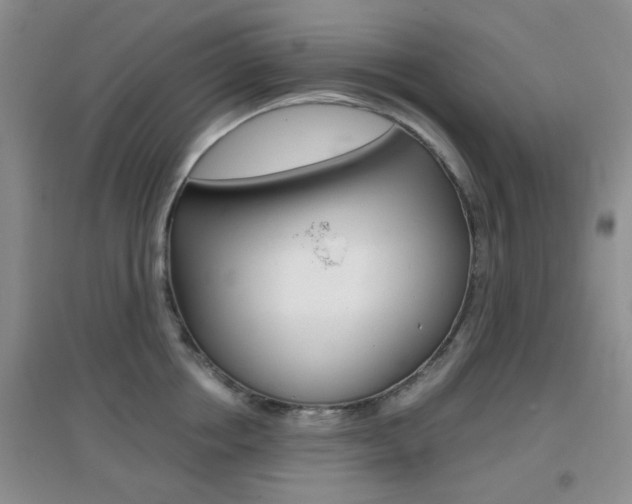 X0000096940858200802080857