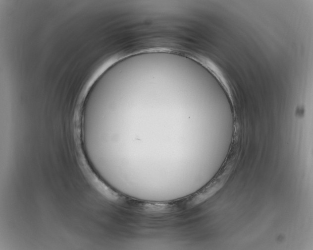 X0000096940859200802080857
