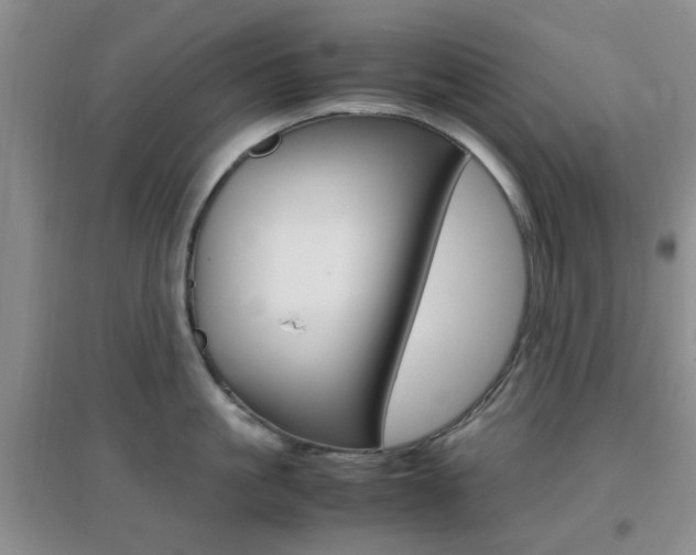 X0000096940861200802080857