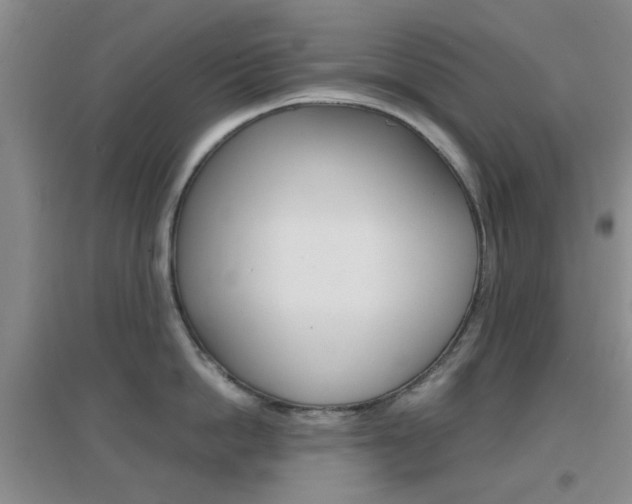X0000096940862200802080857