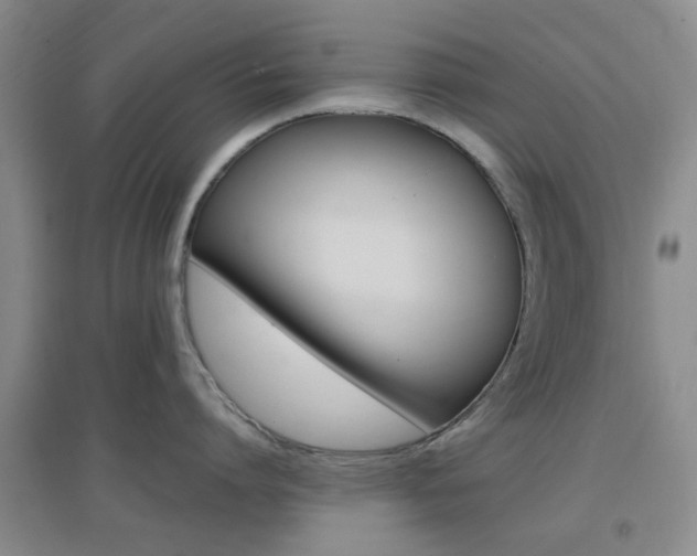 X0000096940864200802080857