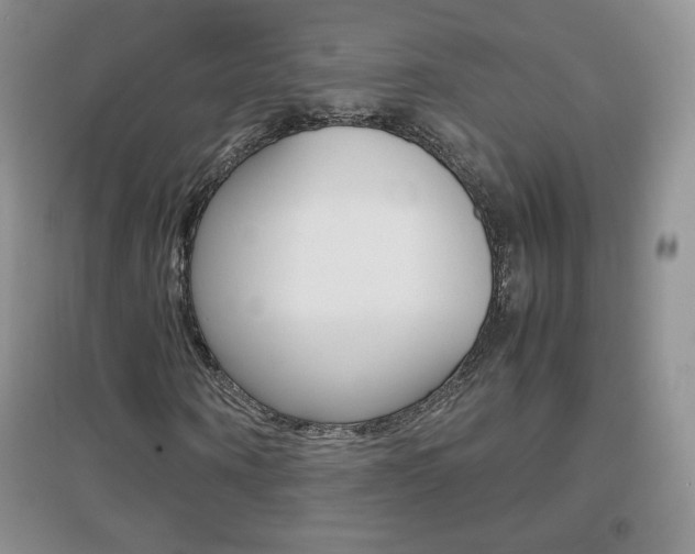 X0000096940866200802080856