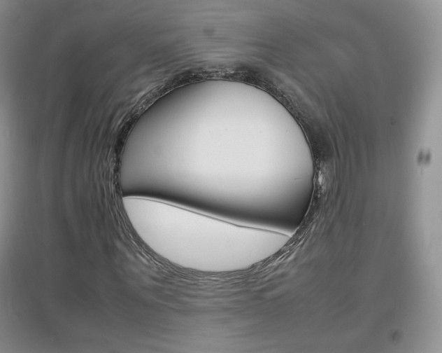 X0000096940867200802080856