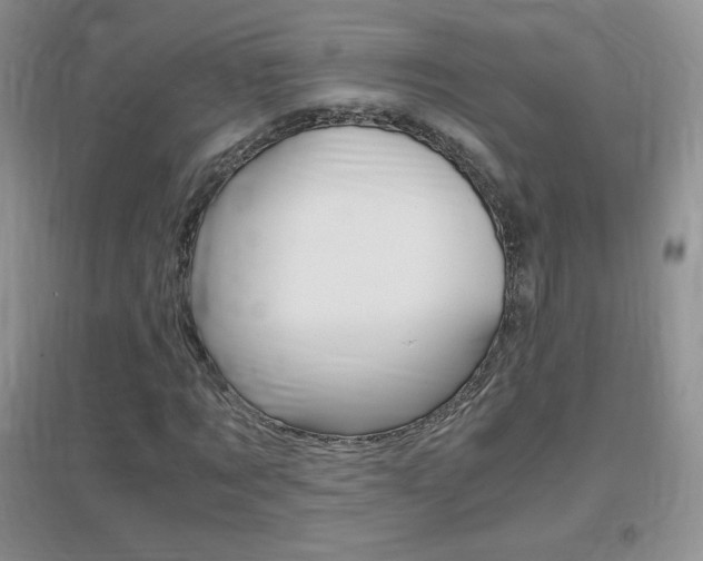 X0000096940869200802080856