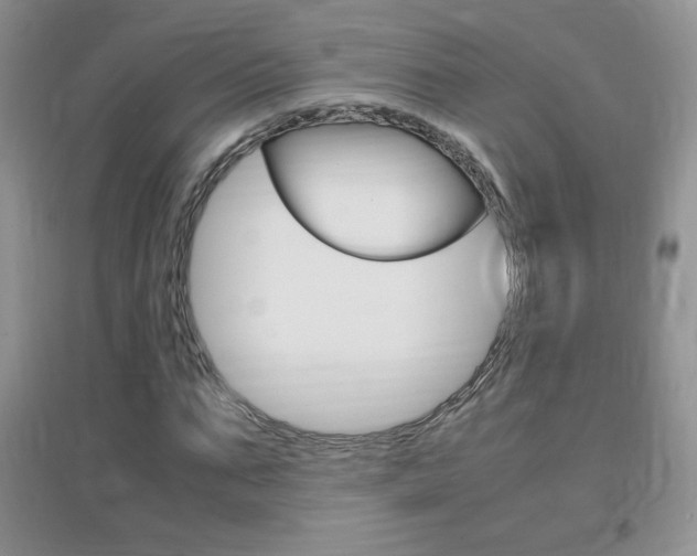 X0000096940871200802080856
