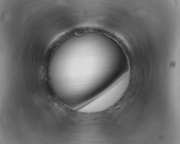 X0000096940872200802080856