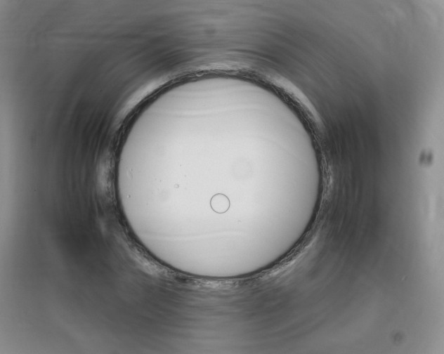 X0000096940874200802080856