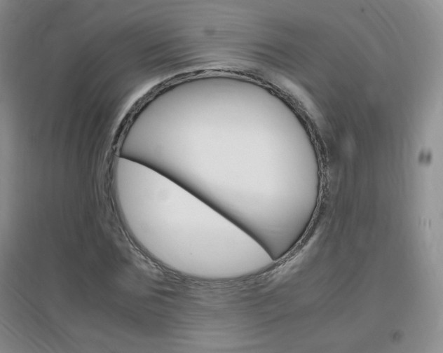 X0000096940875200802080856