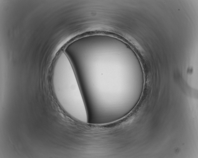 X0000096940877200802080856