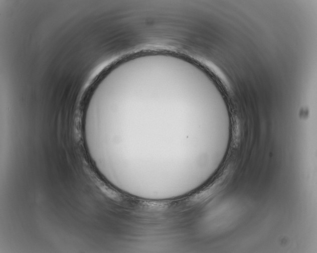 X0000096940878200802080856
