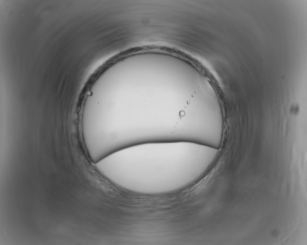 X0000096940879200802080856