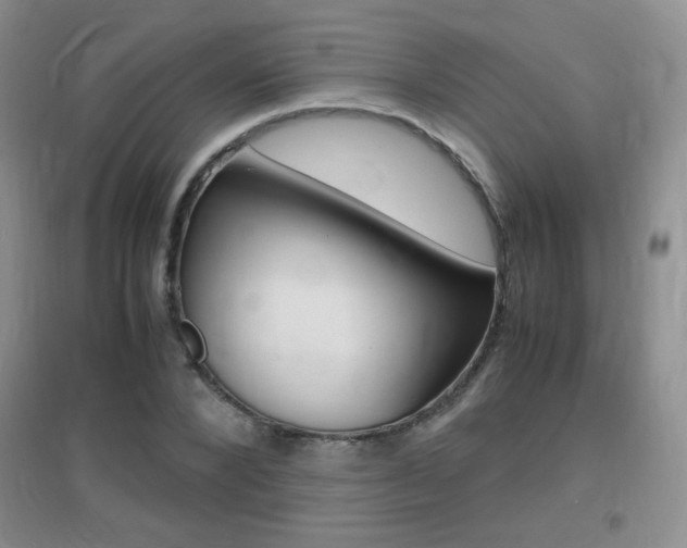 X0000096940880200802080856