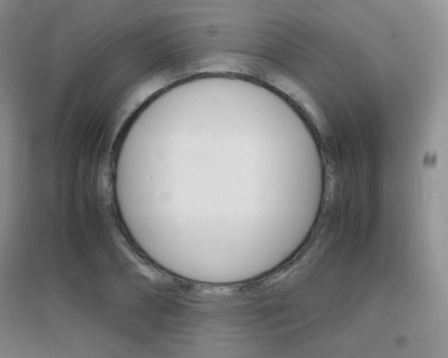 X0000096940882200802080856