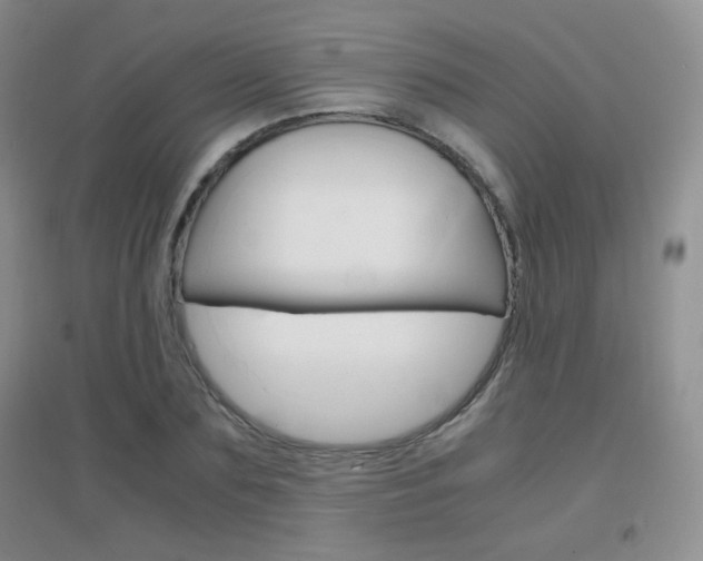 X0000096940883200802080856