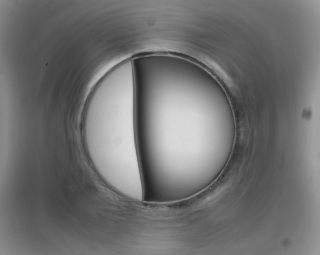 X0000096940885200802080856