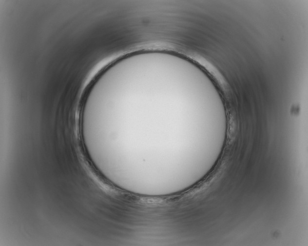 X0000096940886200802080856