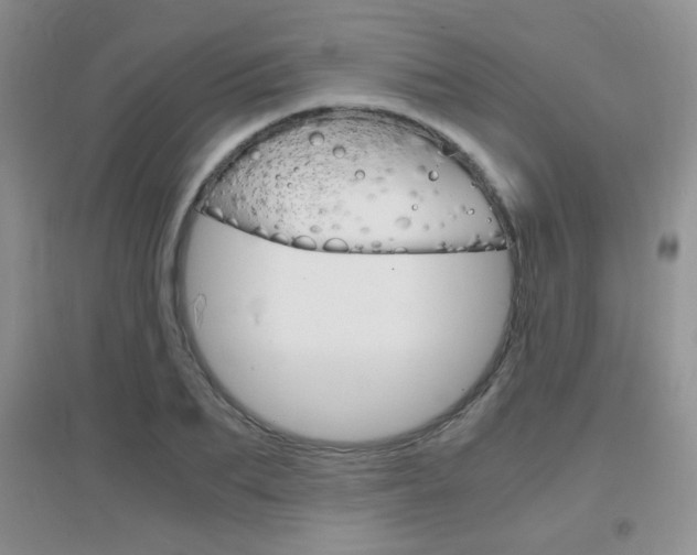 X0000096940887200802080856