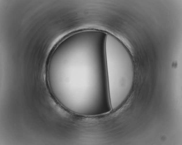 X0000096940888200802080856