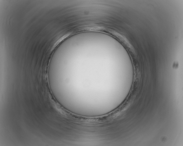 X0000096940889200802080856