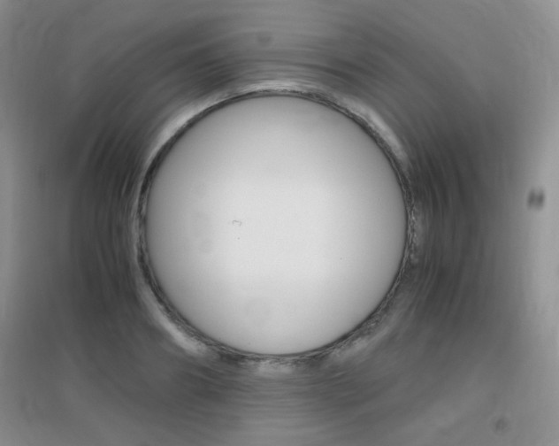 X0000096940890200802080856