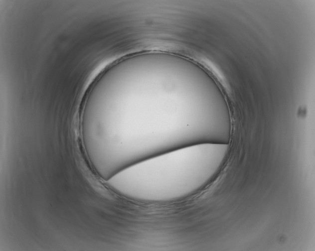 X0000096940891200802080856