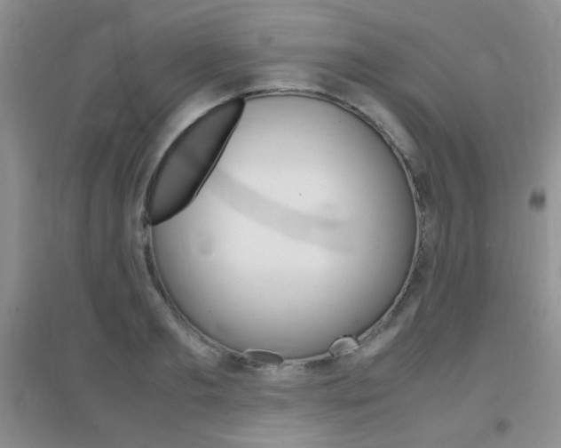 X0000096940893200802080856