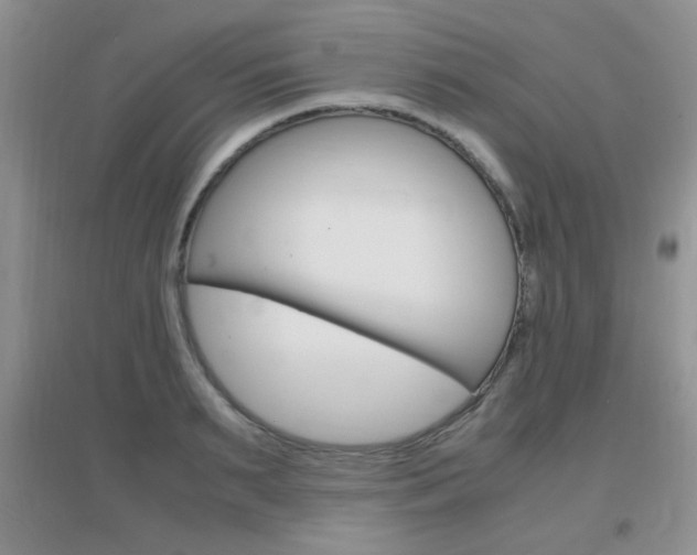 X0000096940895200802080856