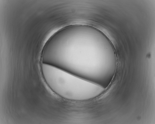 X0000096940901200802080856