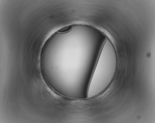 X0000096940902200802080856