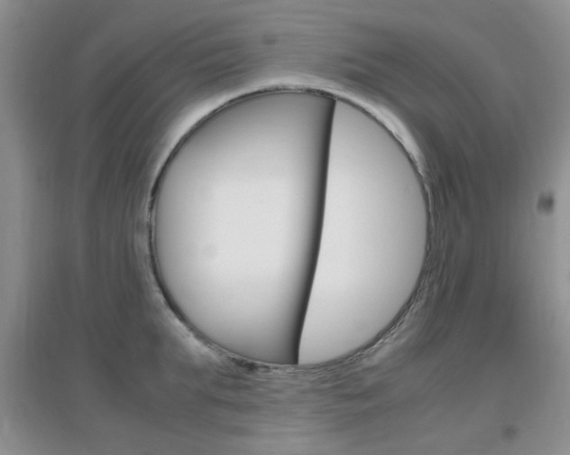 X0000096940903200802080856