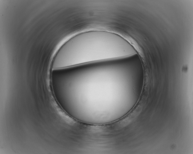 X0000096940904200802080855