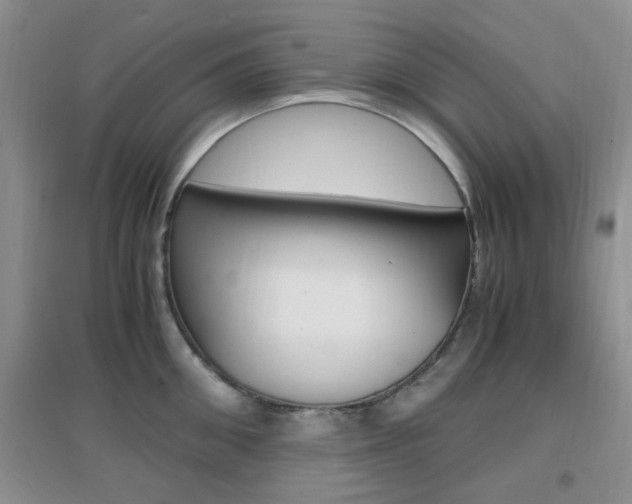 X0000096940906200802080855