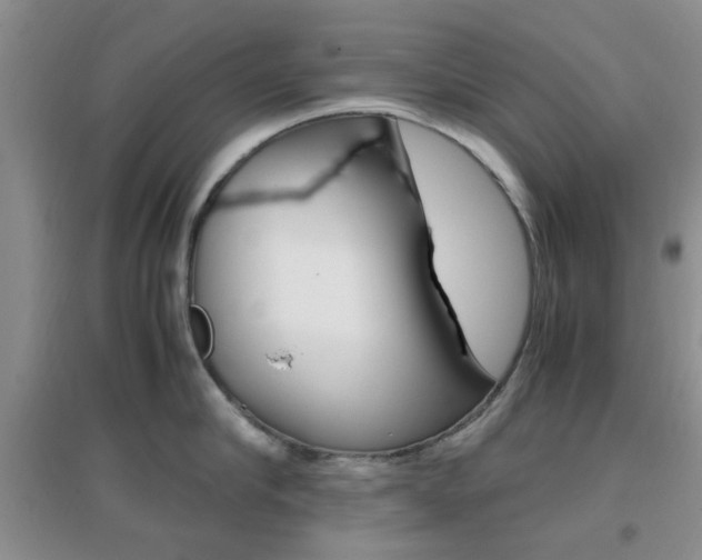 X0000096940910200802080855