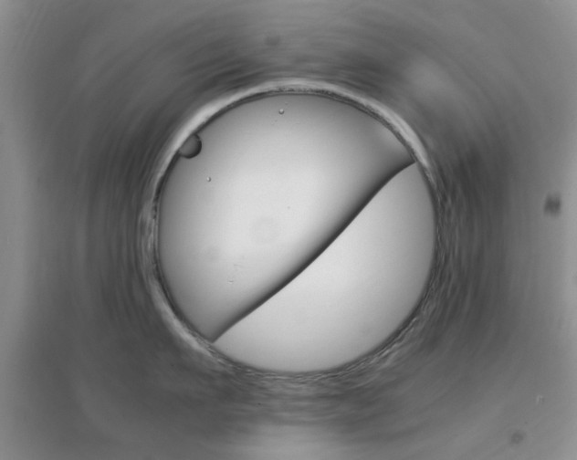 X0000096940911200802080855