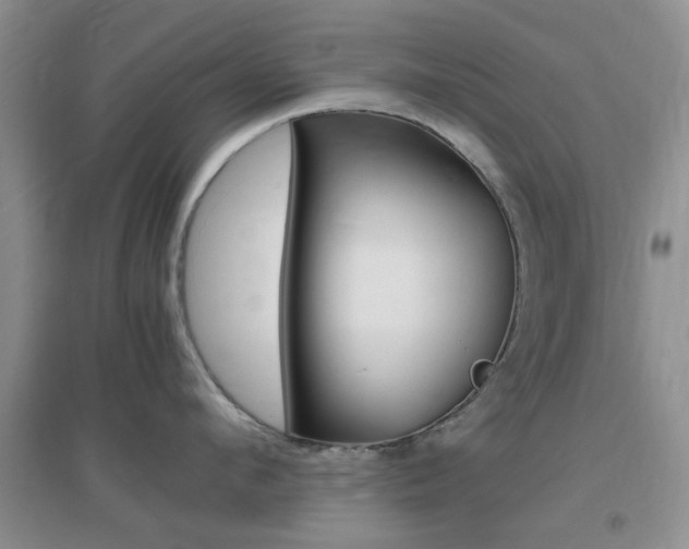 X0000096940912200802080855