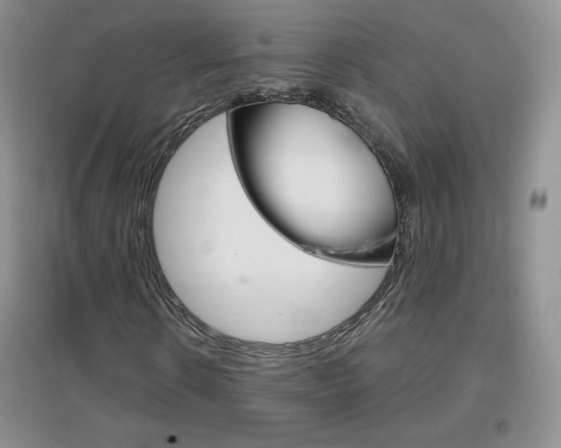X0000096940914200802080855