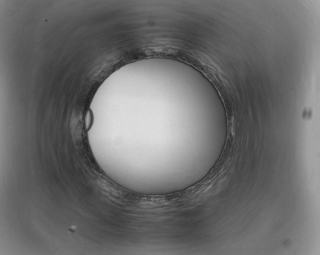 X0000096940915200802080855