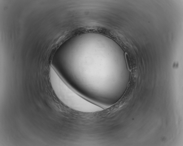 X0000096940916200802080855