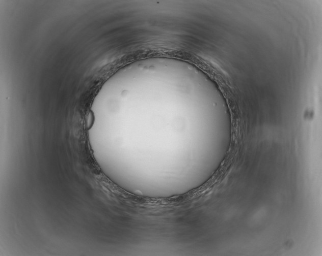 X0000096940917200802080855