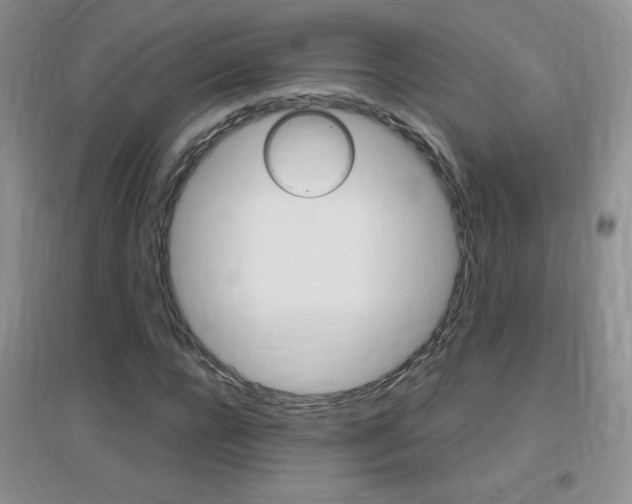 X0000096940920200802080855