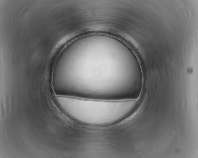 X0000096940922200802080855