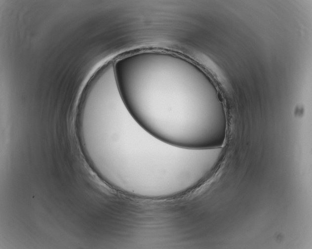 X0000096940924200802080855