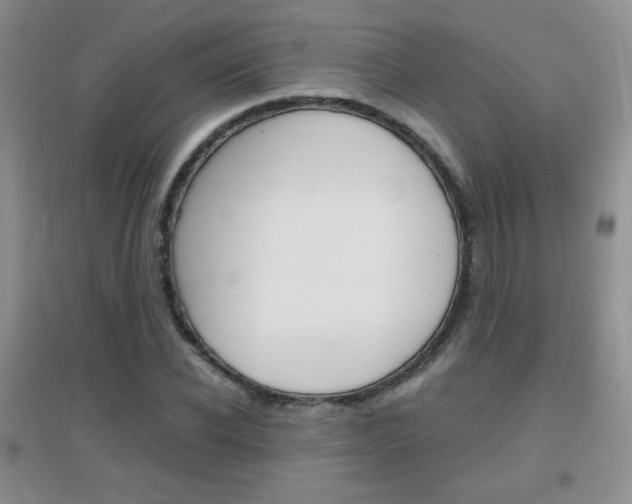 X0000096940926200802080855
