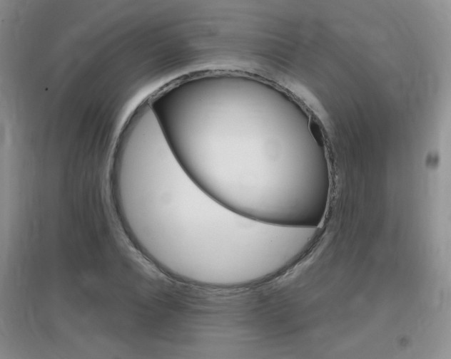 X0000096940928200802080855