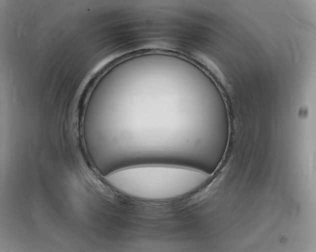 X0000096940931200802080855