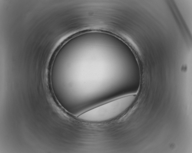 X0000096940932200802080855